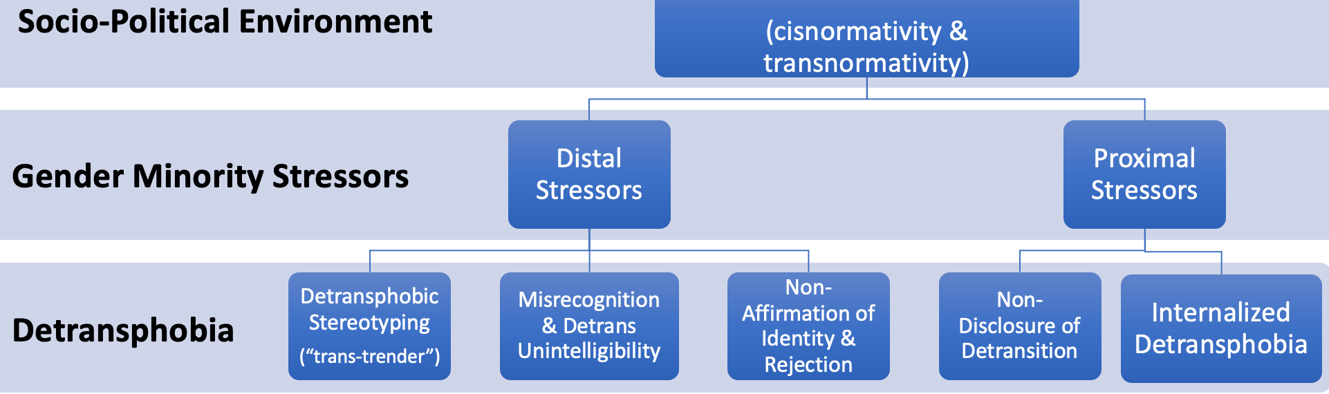 An organizational chart with socio-political environment at the top, followed by gender minority stressors and detransphobia.